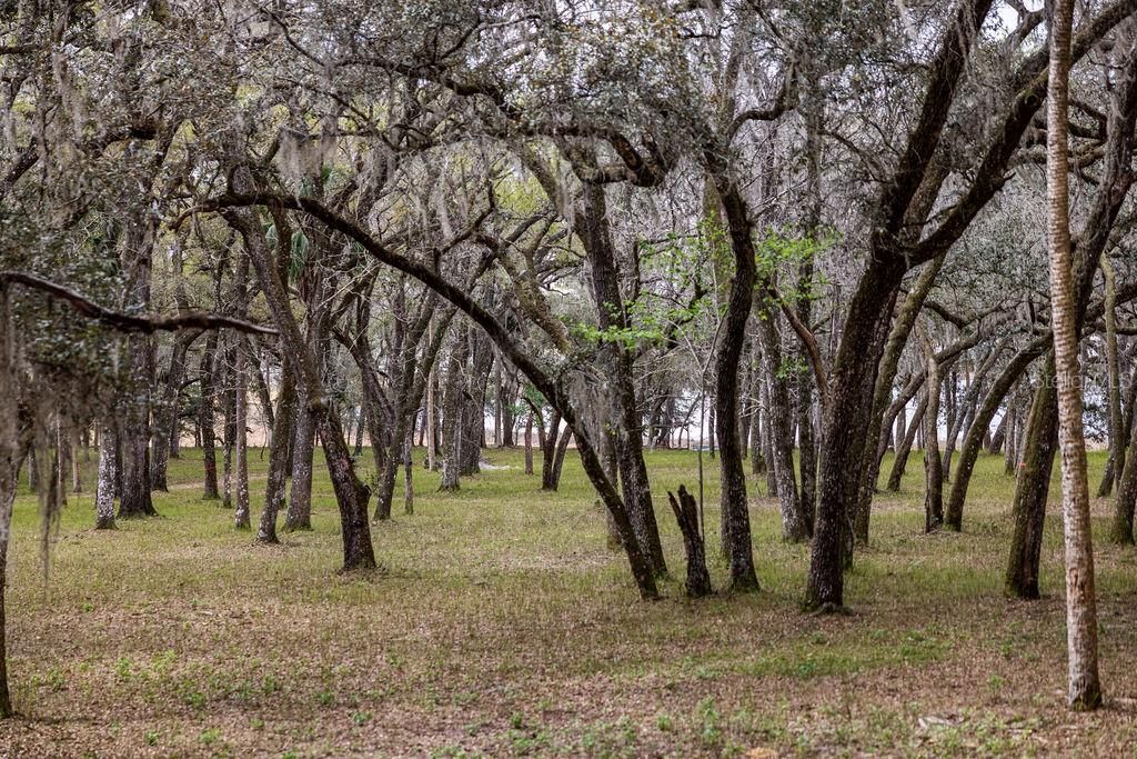For Sale: $2,693,000 (158.00 acres)