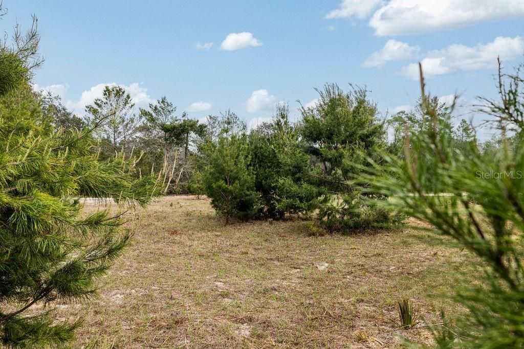 For Sale: $2,693,000 (158.00 acres)