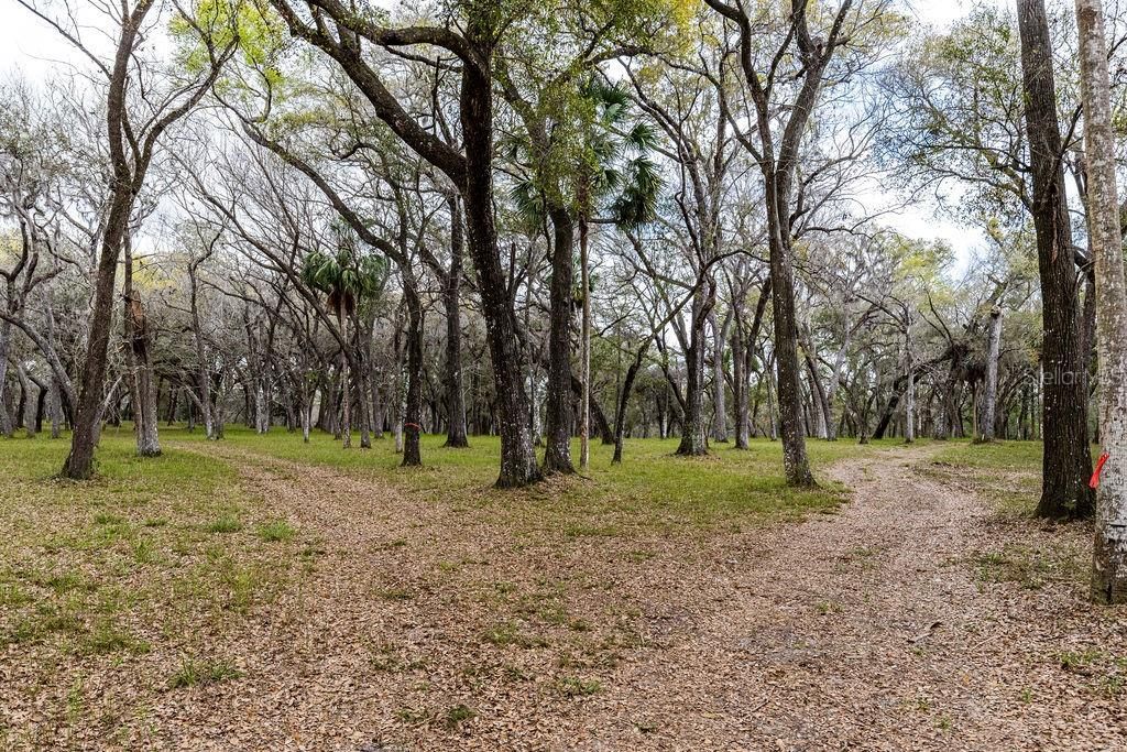 For Sale: $2,693,000 (158.00 acres)