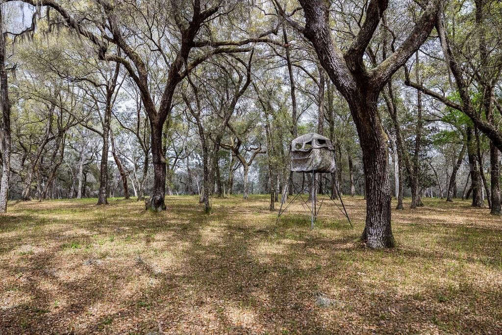 For Sale: $2,693,000 (158.00 acres)