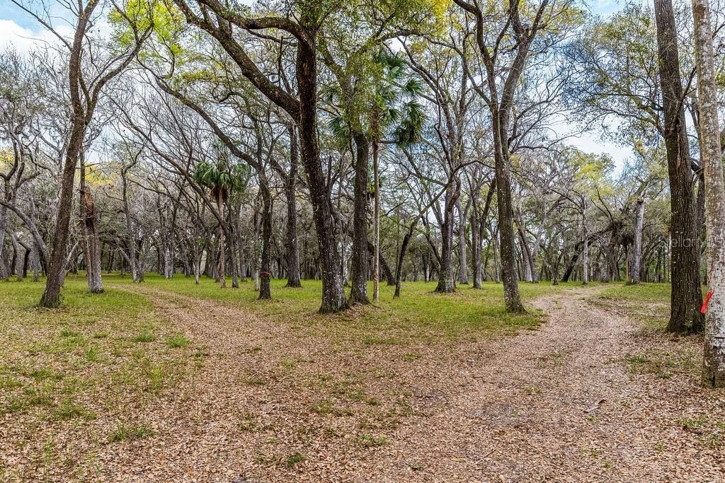 For Sale: $2,693,000 (158.00 acres)