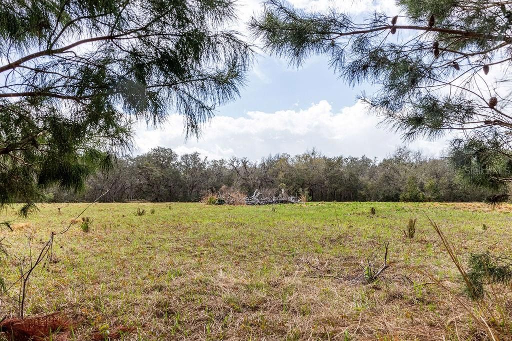 For Sale: $2,693,000 (158.00 acres)
