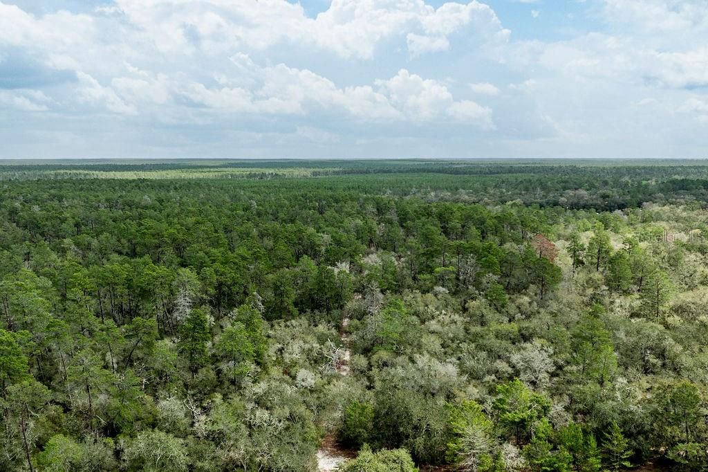 For Sale: $2,693,000 (158.00 acres)