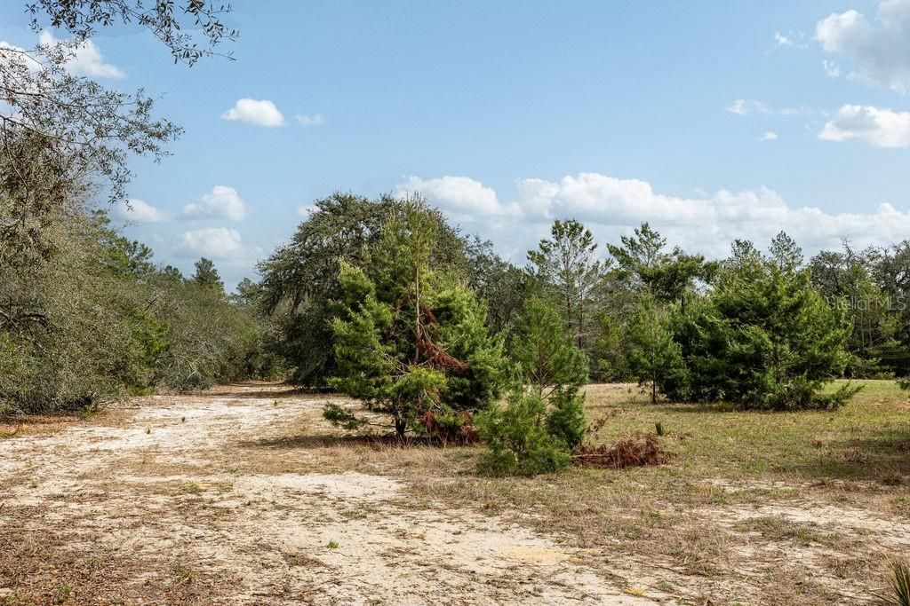 For Sale: $2,693,000 (158.00 acres)