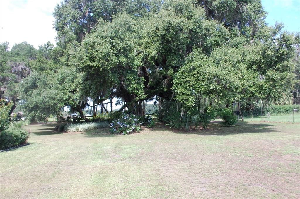 For Sale: $2,300,000 (0 beds, 0 baths, 2268 Square Feet)