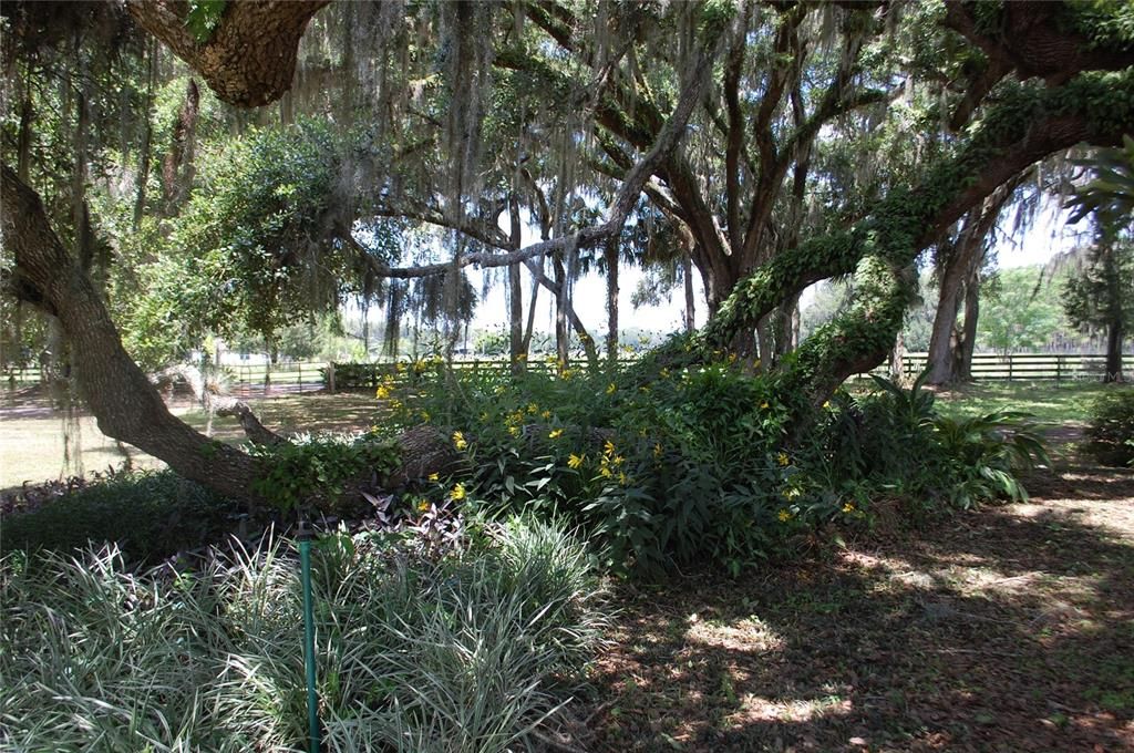 For Sale: $2,300,000 (0 beds, 0 baths, 2268 Square Feet)