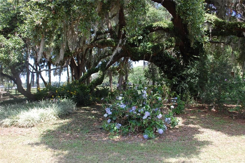 For Sale: $2,300,000 (0 beds, 0 baths, 2268 Square Feet)