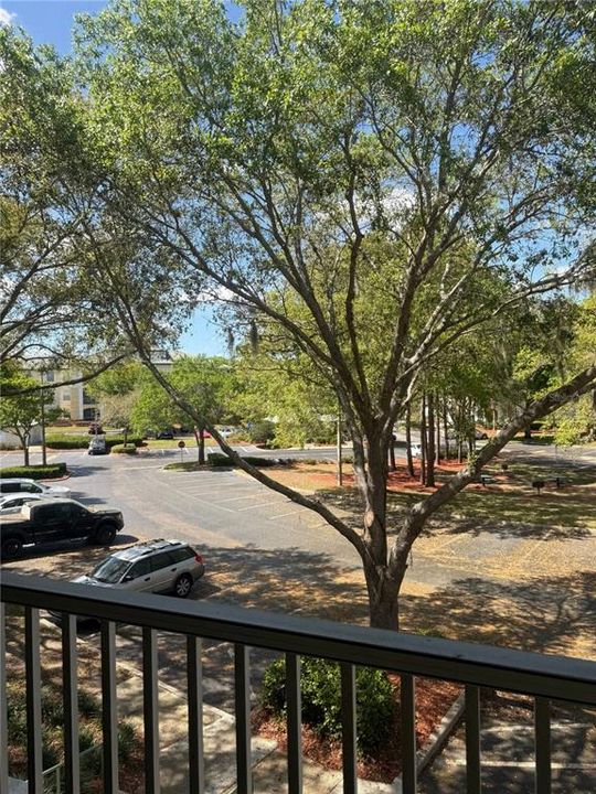 Active With Contract: $1,275 (1 beds, 1 baths, 712 Square Feet)