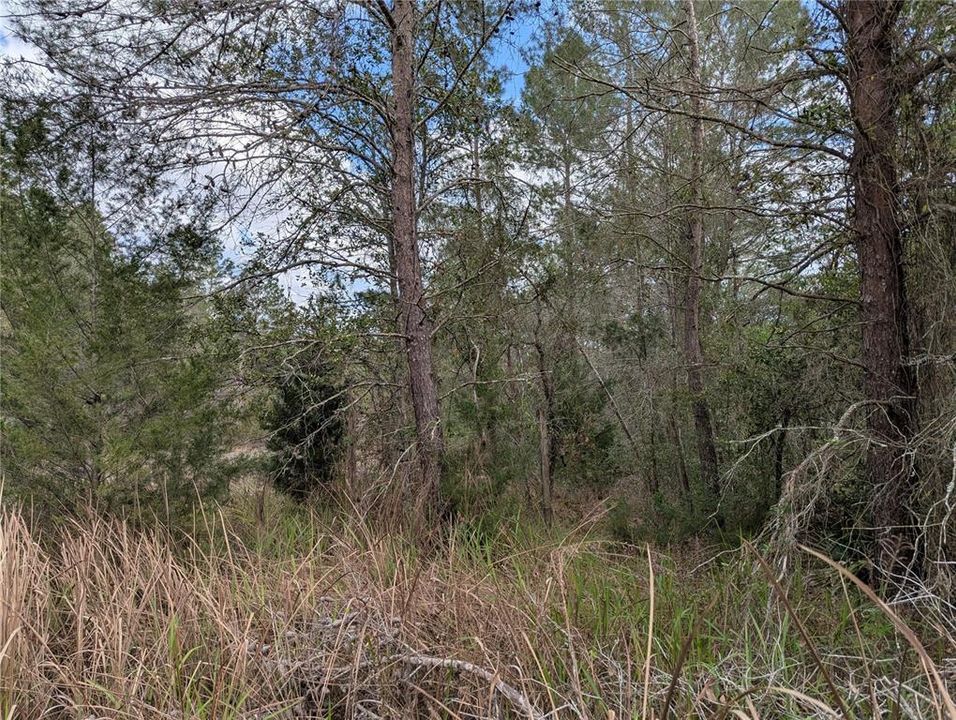 На продажу: $1,125,000 (15.20 acres)