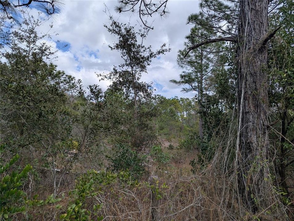 На продажу: $1,125,000 (15.20 acres)