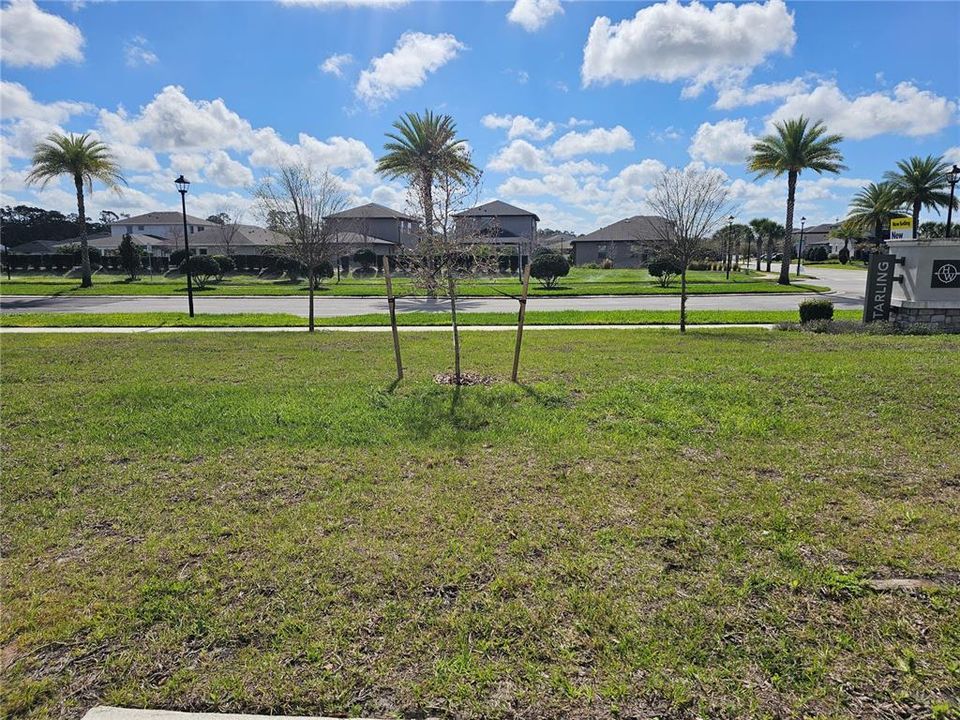 出租: $1,970 (3 贝兹, 2 浴室, 1463 平方英尺)