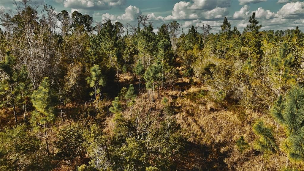 Active With Contract: $649,950 (70.00 acres)
