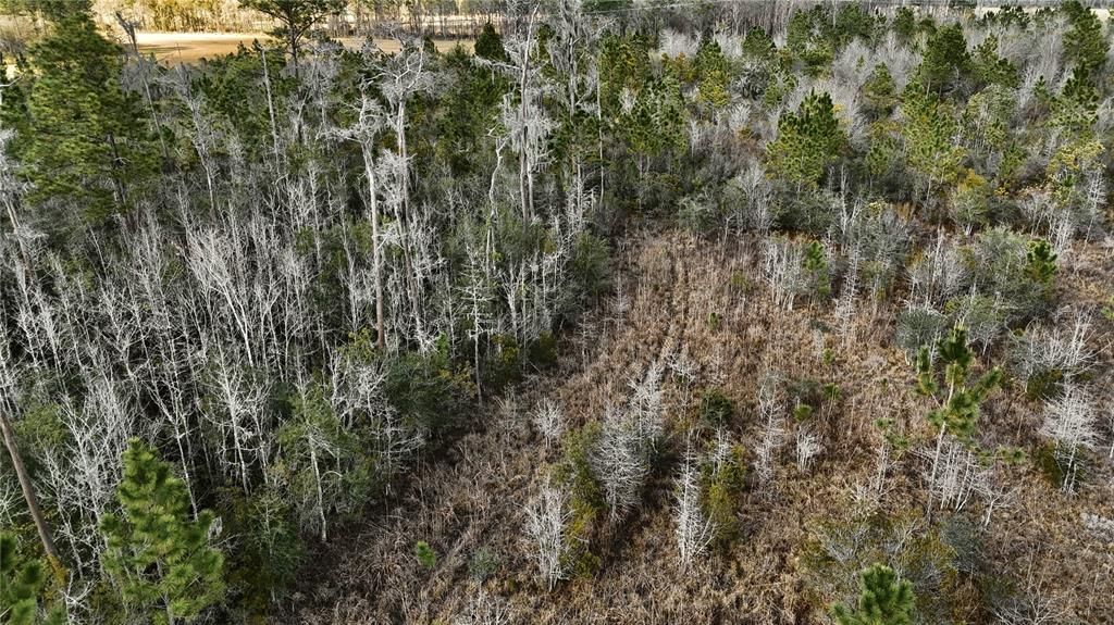 Active With Contract: $649,950 (70.00 acres)
