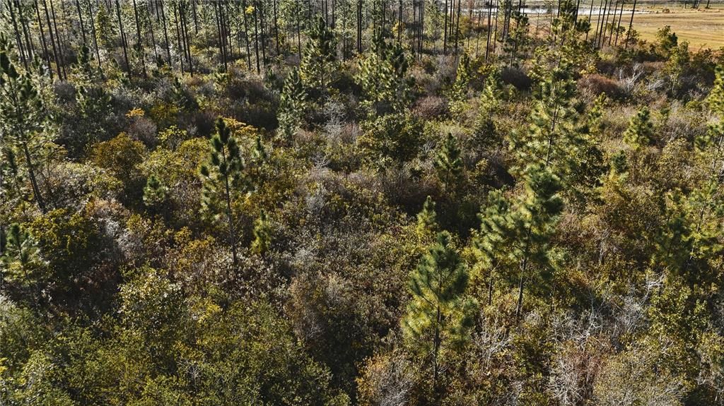 Active With Contract: $649,950 (70.00 acres)