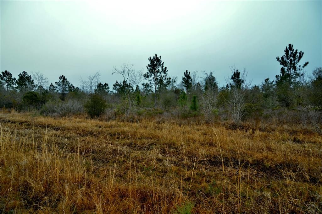 Active With Contract: $649,950 (70.00 acres)