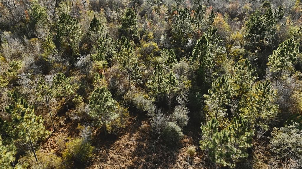 Active With Contract: $649,950 (70.00 acres)