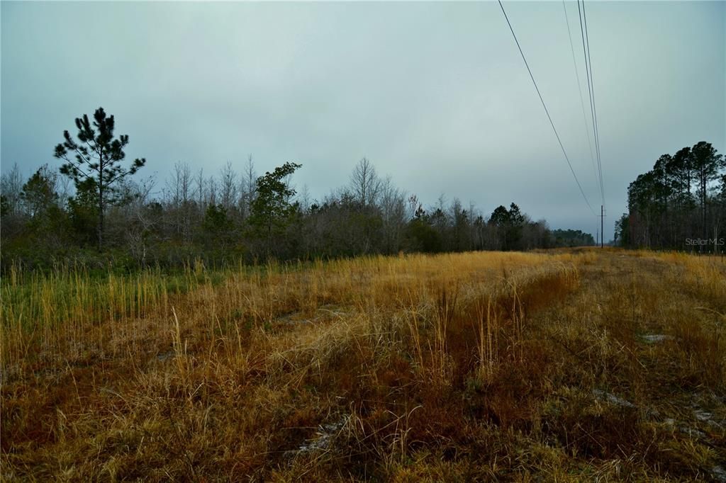 Active With Contract: $649,950 (70.00 acres)