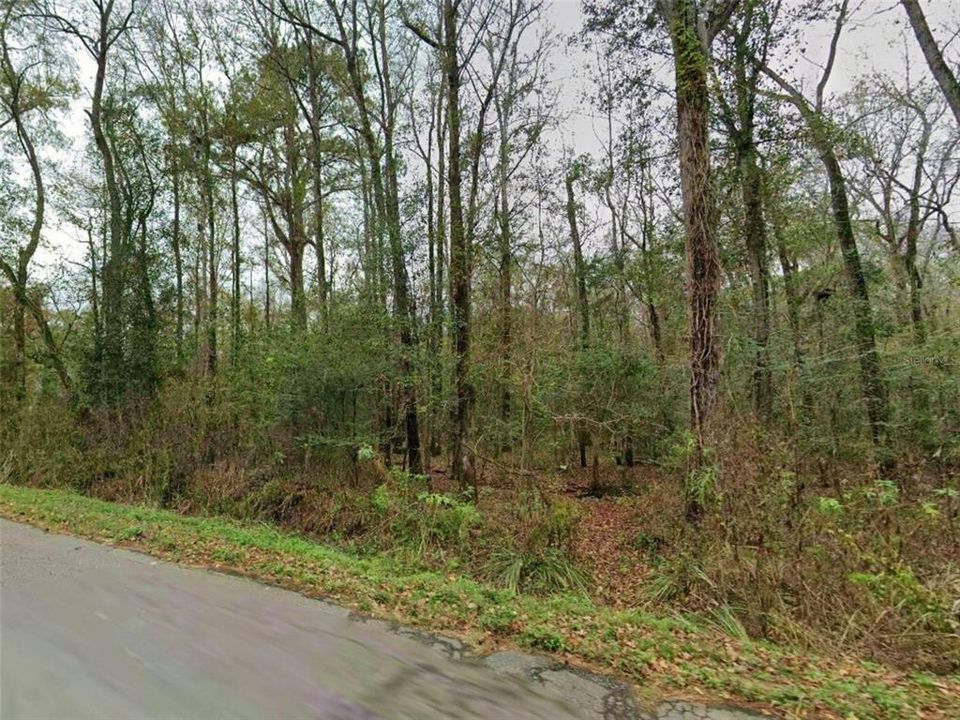 待售: $39,000 (1.50 acres)