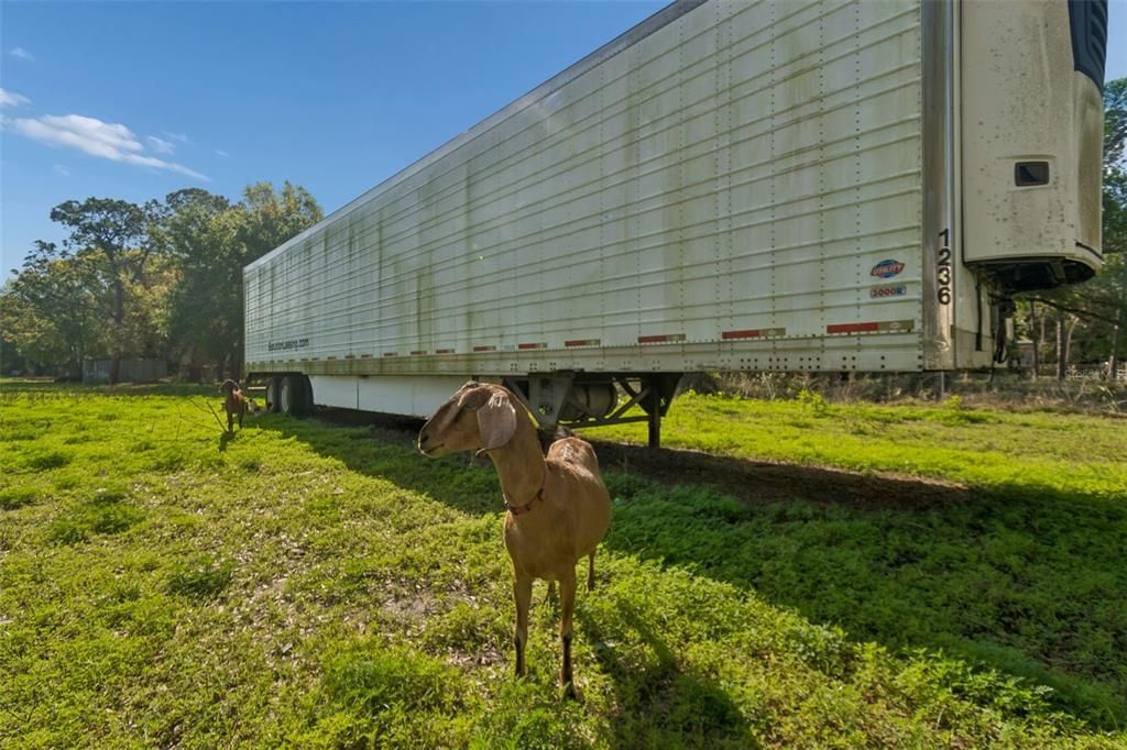 En Venta: $2,000,000 (4.95 acres)