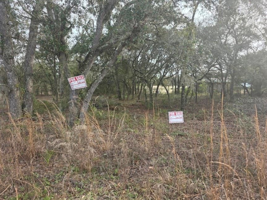 For Sale: $25,000 (0.23 acres)