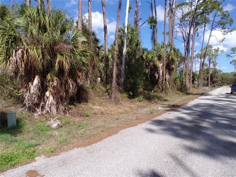 Activo con contrato: $33,990 (0.46 acres)