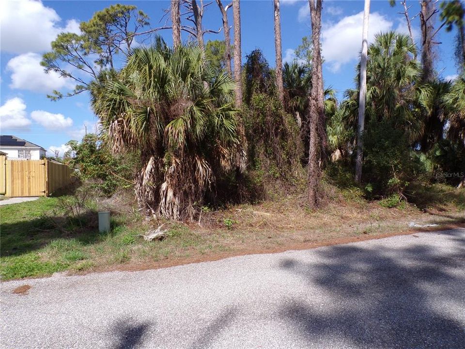 Activo con contrato: $33,990 (0.46 acres)