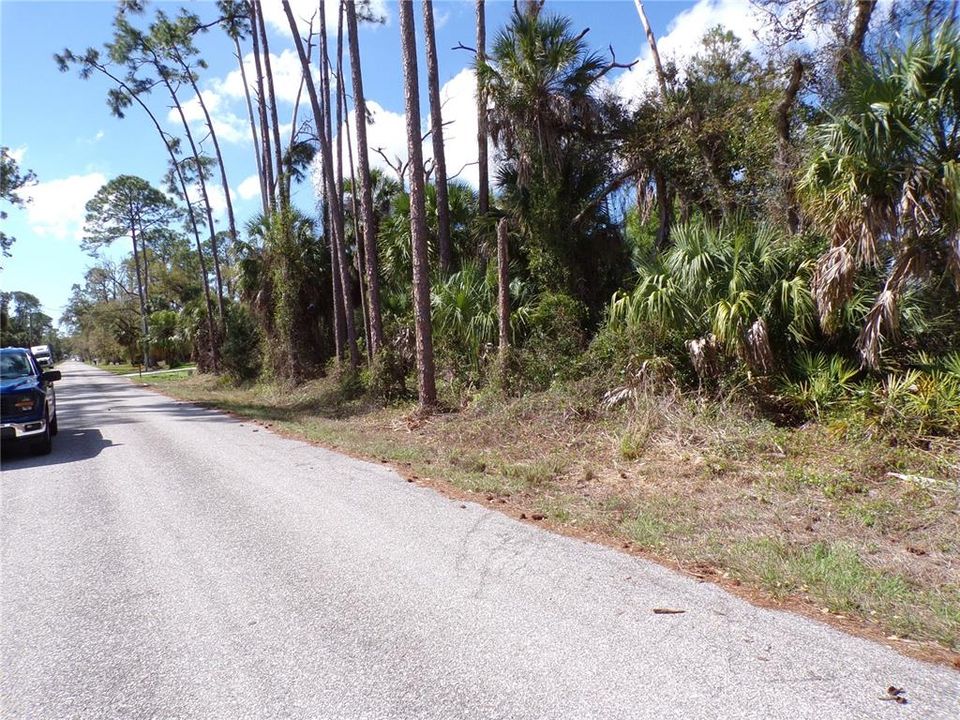 Activo con contrato: $33,990 (0.46 acres)