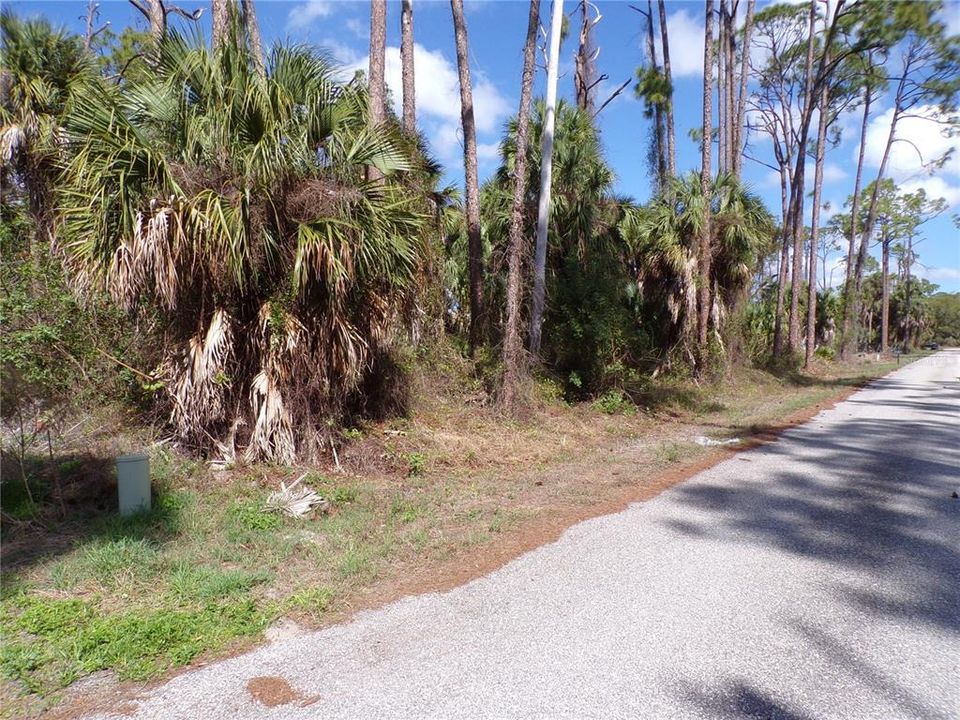 Activo con contrato: $33,990 (0.46 acres)