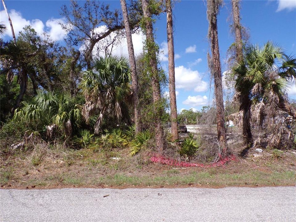 Activo con contrato: $33,990 (0.46 acres)