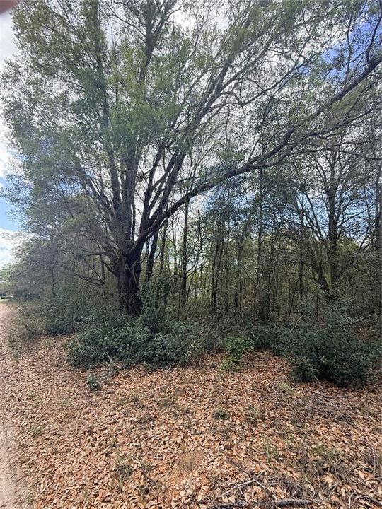 En Venta: $15,000 (0.17 acres)