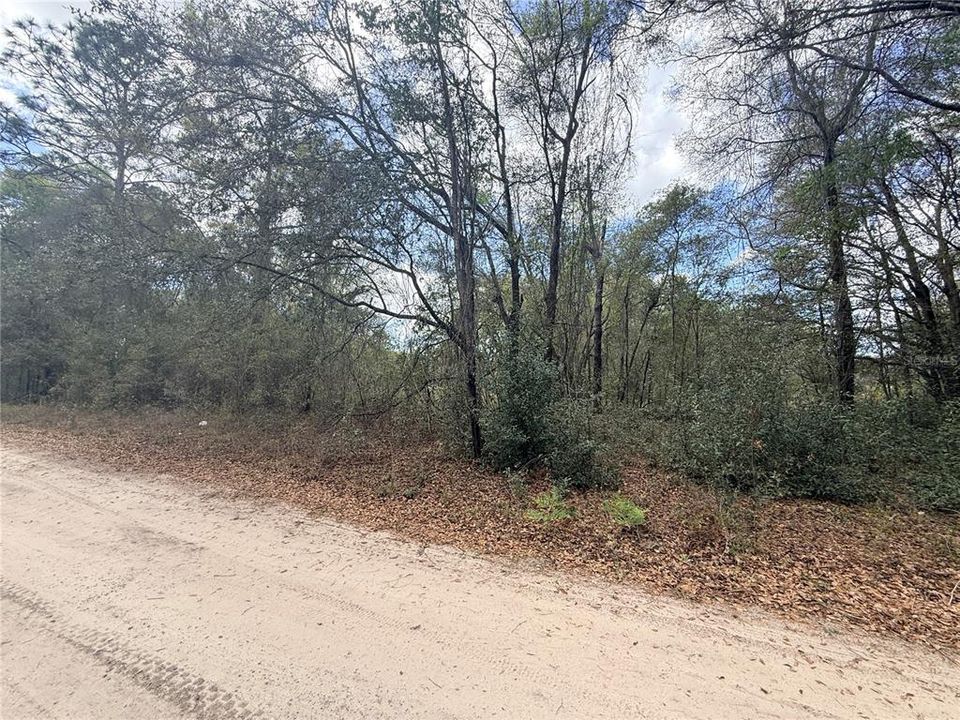 En Venta: $15,000 (0.17 acres)