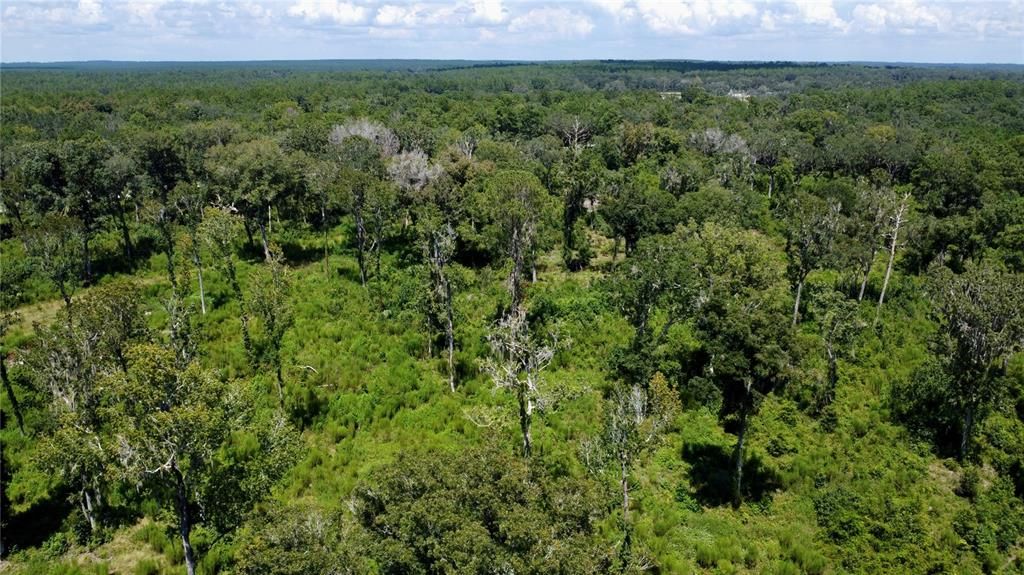 На продажу: $985,250 (39.41 acres)