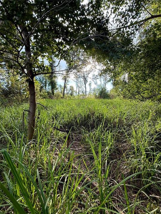 На продажу: $985,250 (39.41 acres)