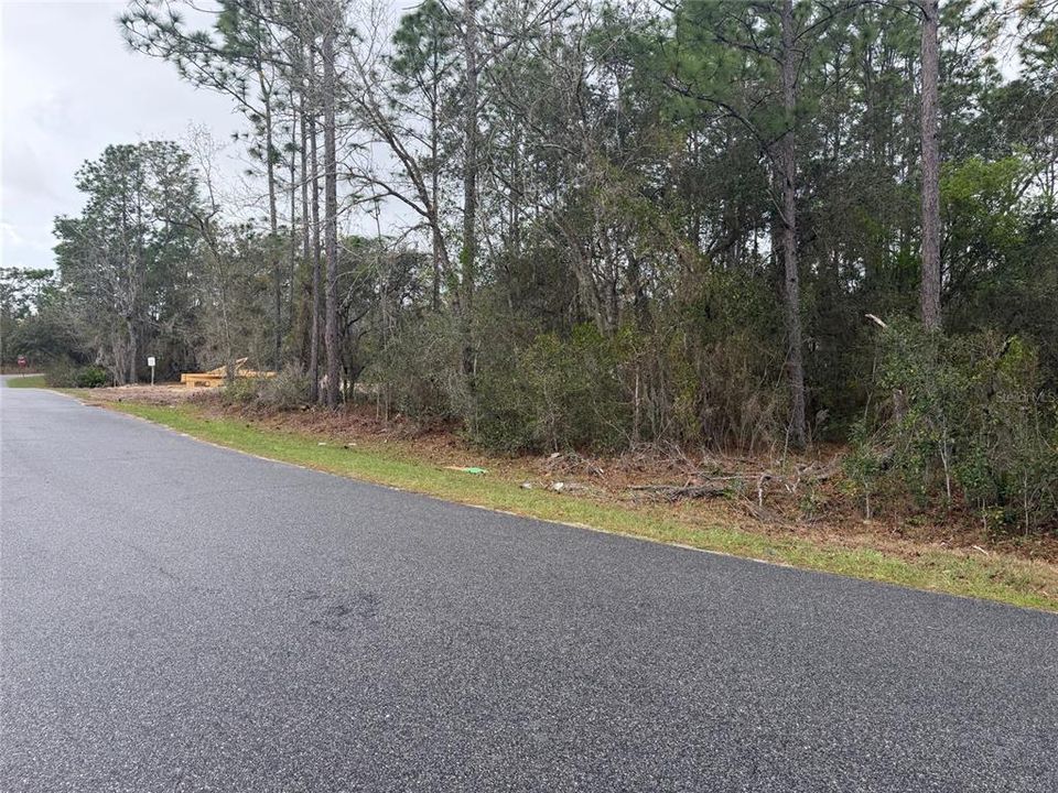 For Sale: $38,490 (0.31 acres)