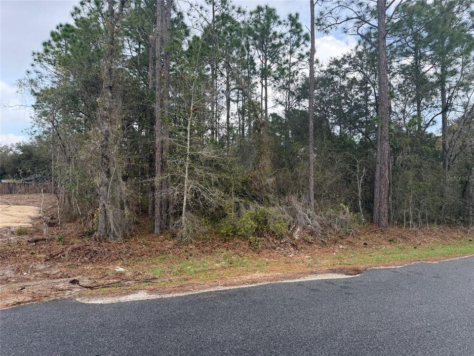 For Sale: $38,490 (0.31 acres)