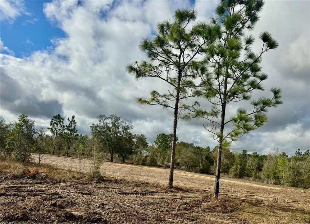 На продажу: $81,000 (4.97 acres)