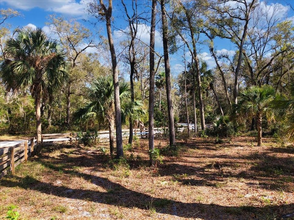 En Venta: $75,000 (3.15 acres)