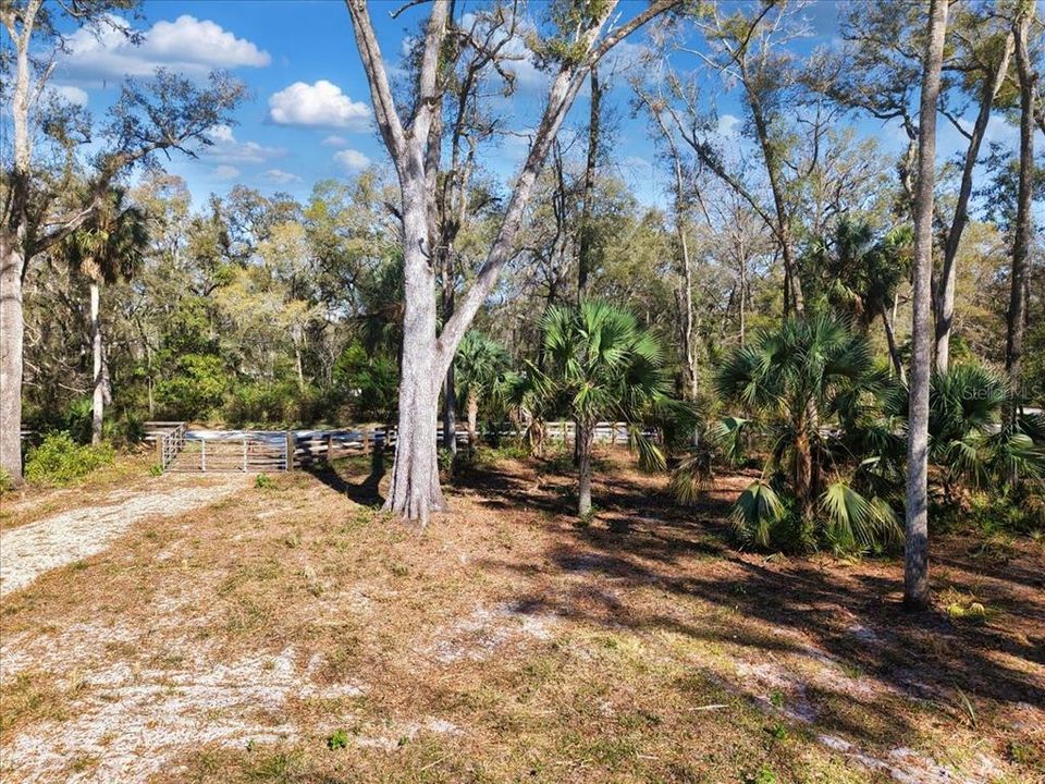 En Venta: $75,000 (3.15 acres)