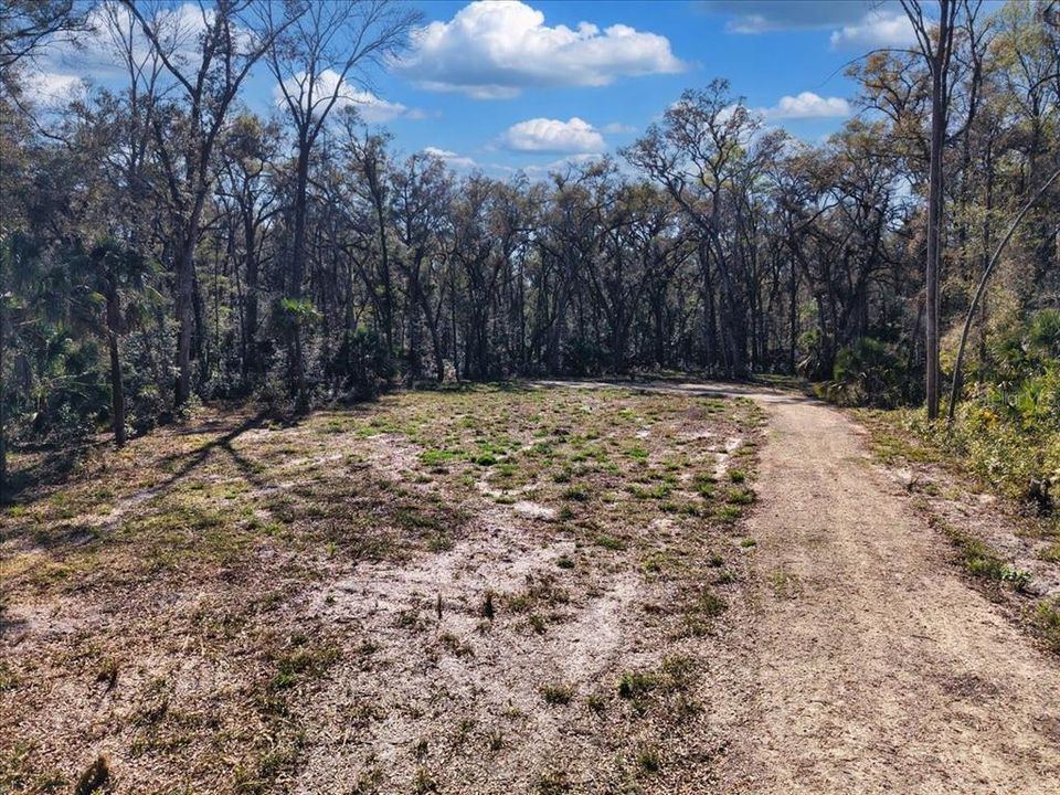 En Venta: $75,000 (3.15 acres)