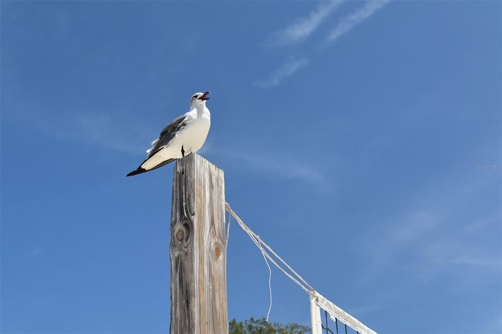 For Sale: $585,000 (2 beds, 2 baths, 1443 Square Feet)