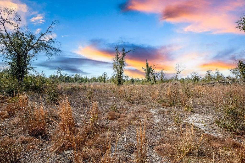 待售: $185,000 (15.28 acres)