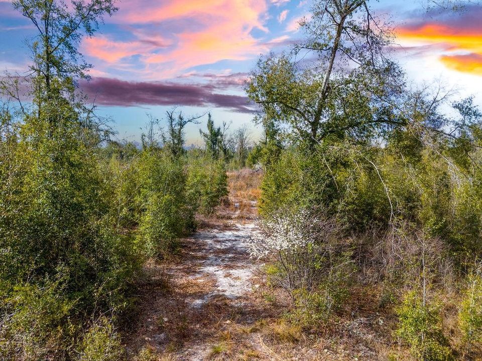 待售: $185,000 (15.28 acres)