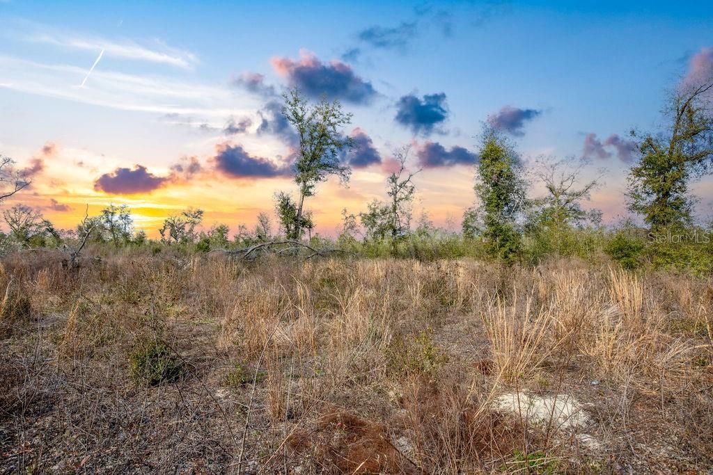 待售: $185,000 (15.28 acres)