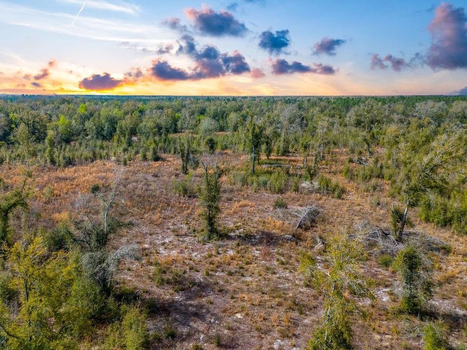 待售: $185,000 (15.28 acres)