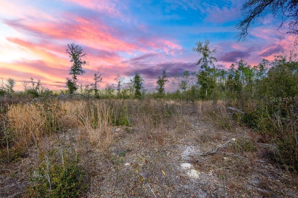 待售: $185,000 (15.28 acres)