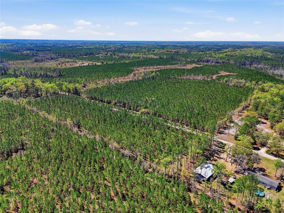 На продажу: $340,000 (30.00 acres)