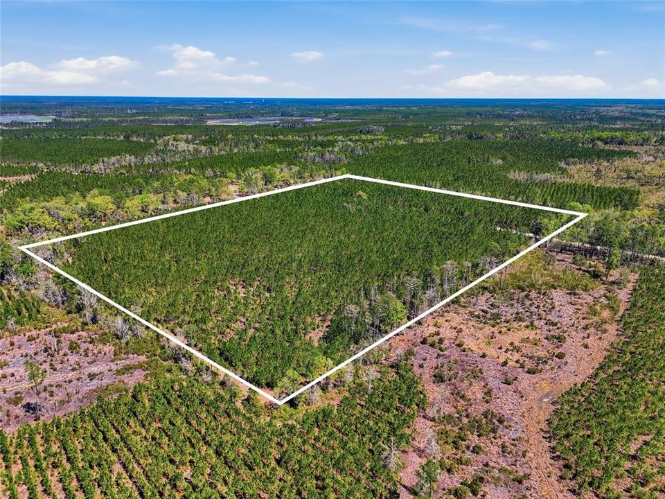 На продажу: $340,000 (30.00 acres)