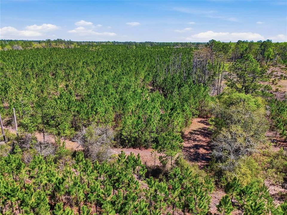 На продажу: $340,000 (30.00 acres)