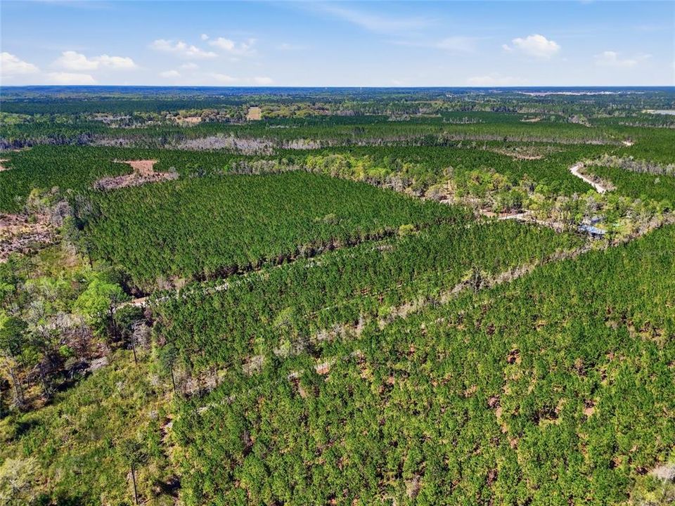 На продажу: $340,000 (30.00 acres)