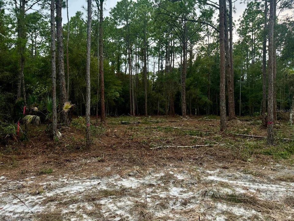 На продажу: $25,000 (0.23 acres)